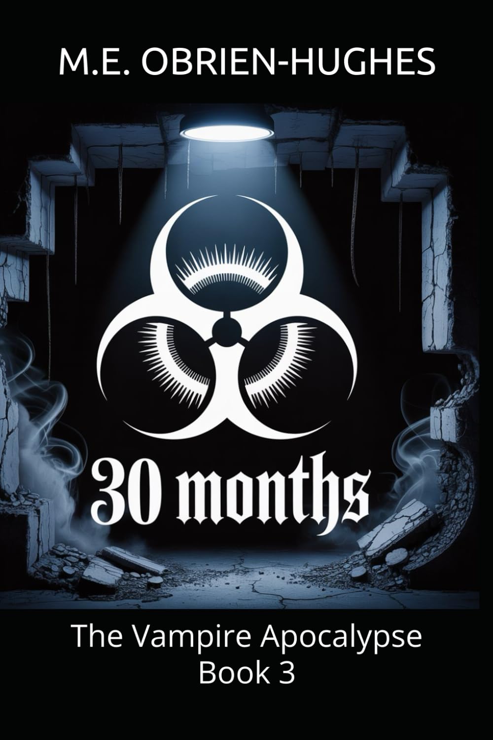 30 Months: The Vampire Apocalypse Book 3 (VAMPIRE APOCALYPSE TRILOGY)