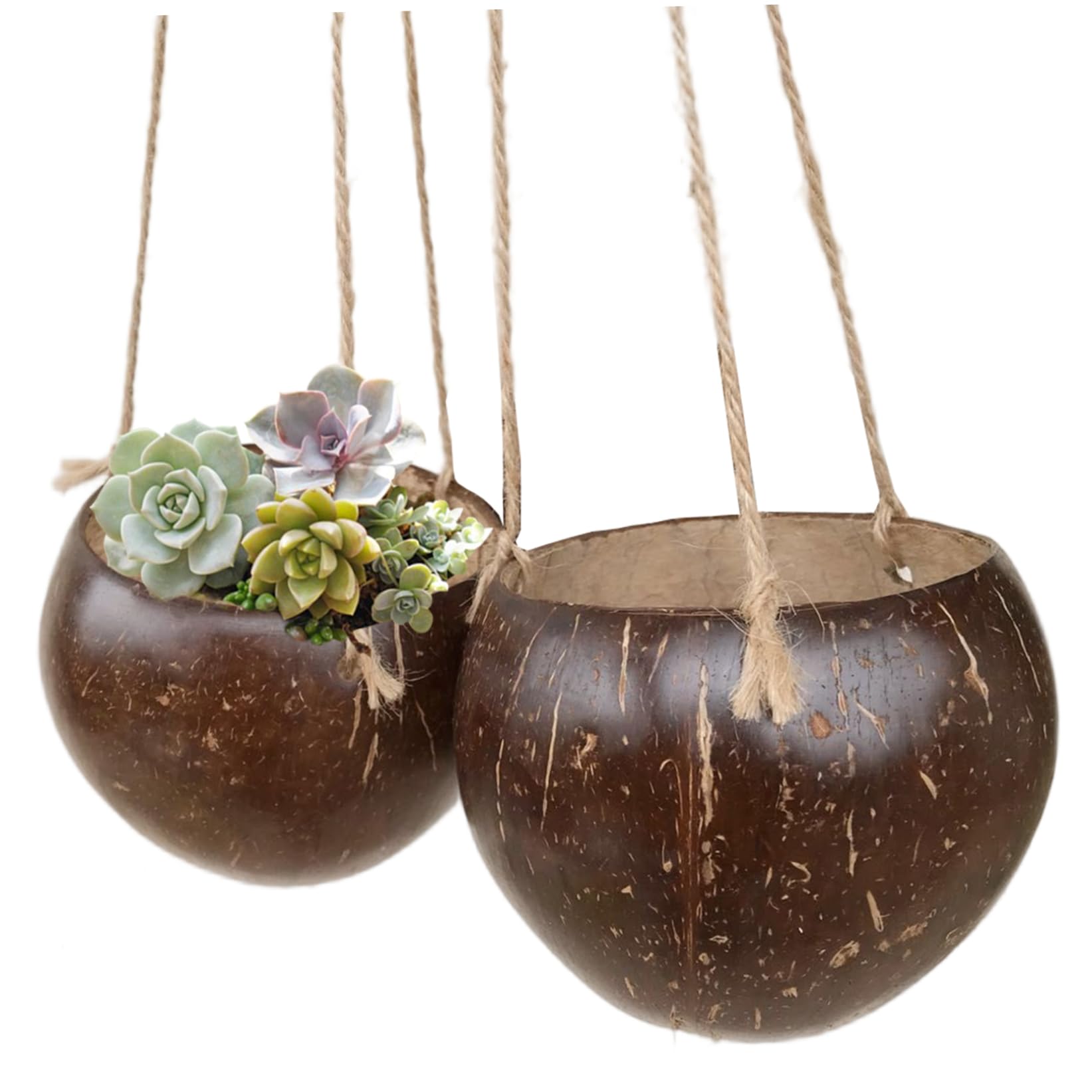 Vervevum 2Pcs Small Hanging Pot, Coconut Shells Hanging Plant Holder with Rope for Succulents, Flowers, Indoor/Outdoor Gardens, Eco-Friendly &, Plant Hanger
