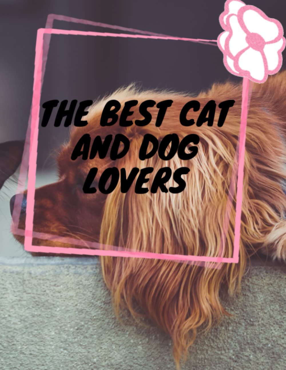 The best cat and dog lover in the witch's house in the witch's housein the witch's house in the witch's house: The best cat and dog lover