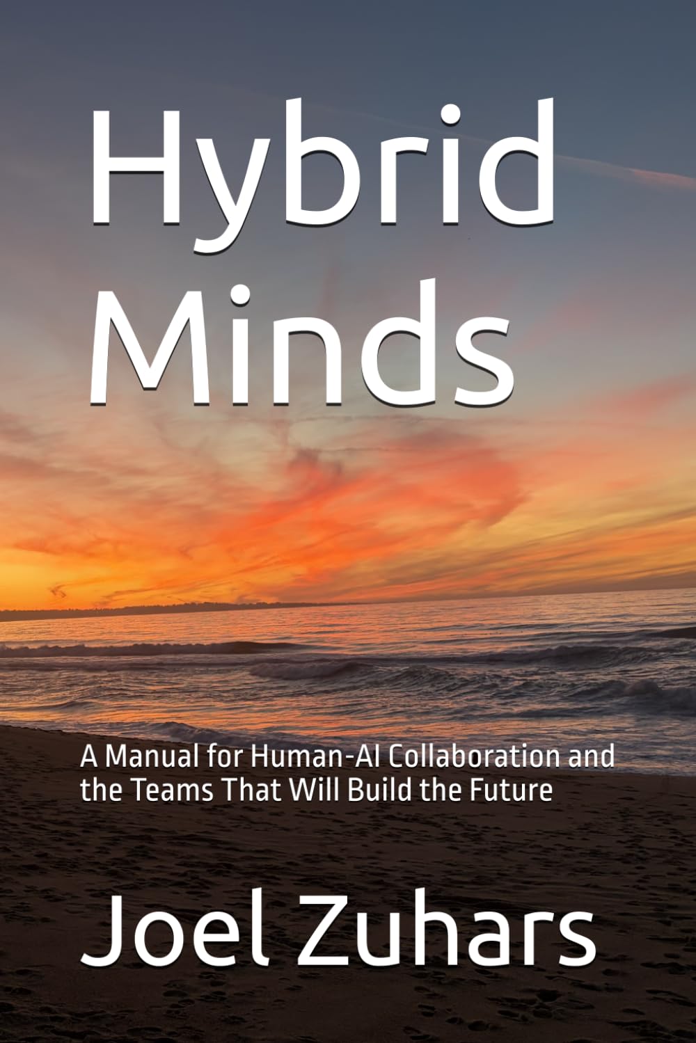 Hybrid Minds: A Manual for Human-AI Collaboration and the Teams That Will Build the Future