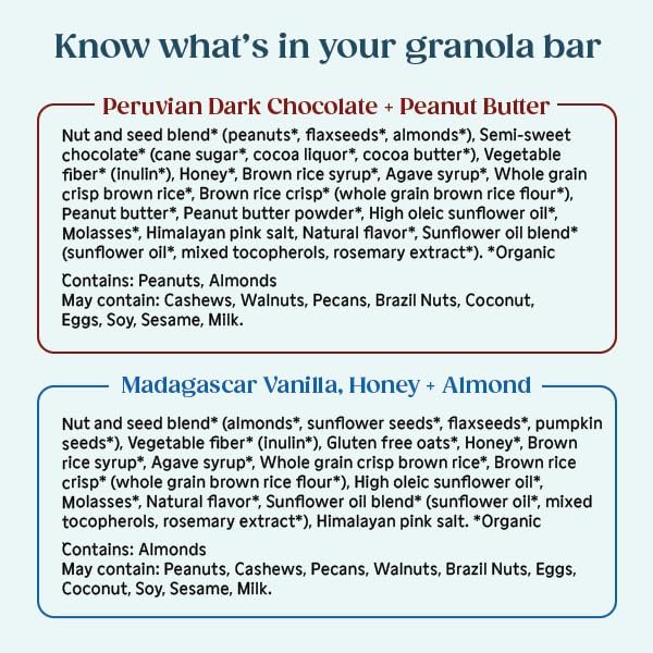 All In Snack Bars Nut & Seed Variety Pack - Madagascar Vanilla Honey Almond and Peruvian Chocolate - Gluten Free - Organic - Non-GMO (12 Pack)