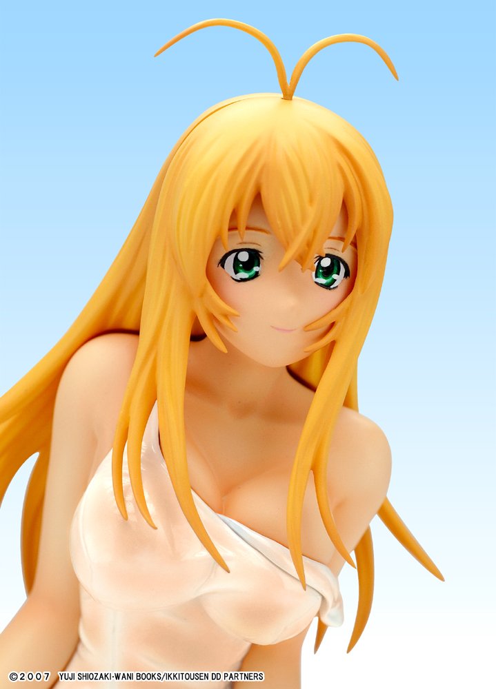 Amazon.co.jp: 一騎当千DD 孫策伯符 スク水スケスケVer. (1/6スケール