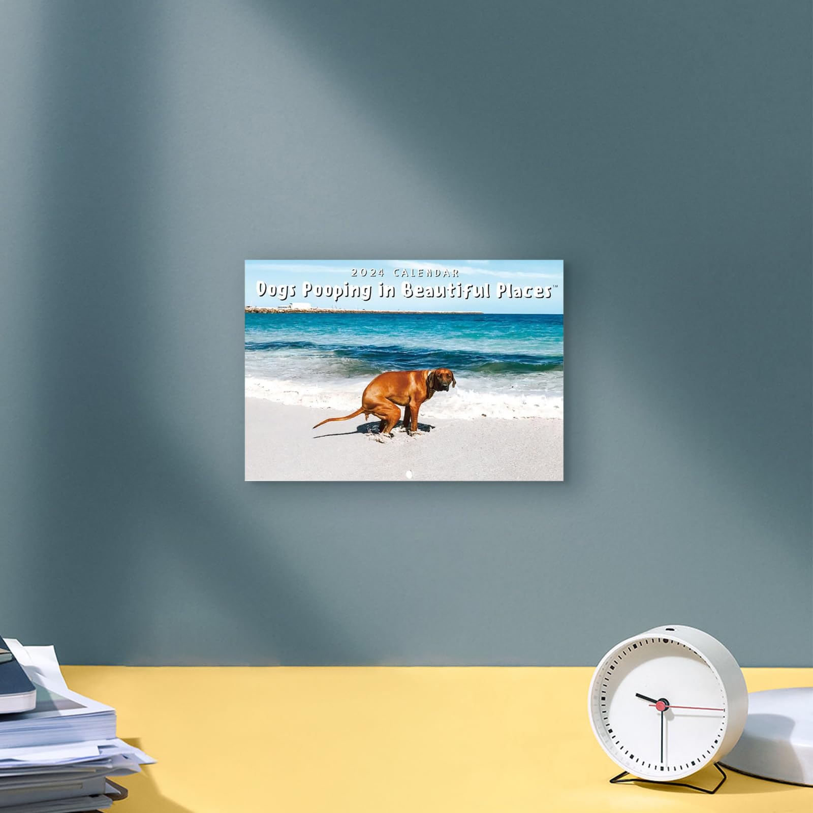 Calendrier 2025 Chiens Qui Font – Photos Drôles, Mural 28,5x21 Cm, Espace Notes