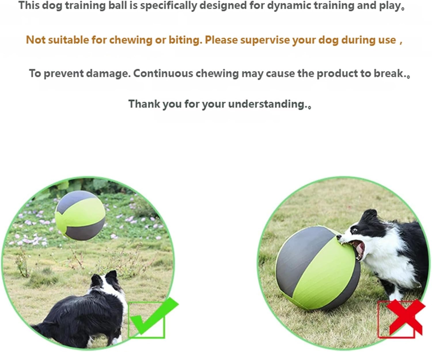 Interaction Dog Toy Bouncy Ball for Easy Cleaning EVA Safe Chasing