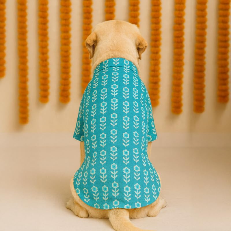 Image of Thunder Tails Soft Cotton Dog Kurta for Small Dogs & Puppies | Comfortable Stylish Outfit for Shitzu, & French Bulldog | Pet Apparel for Casual, Party (Teal, X-Large)