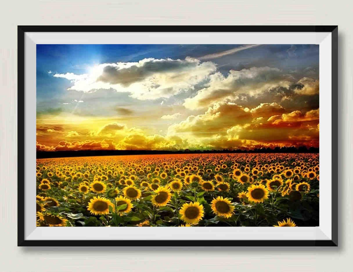 Campo di girasoli al tramonto - Puzzle in legno da 3000 pezzi - Per famiglie e ragazzi