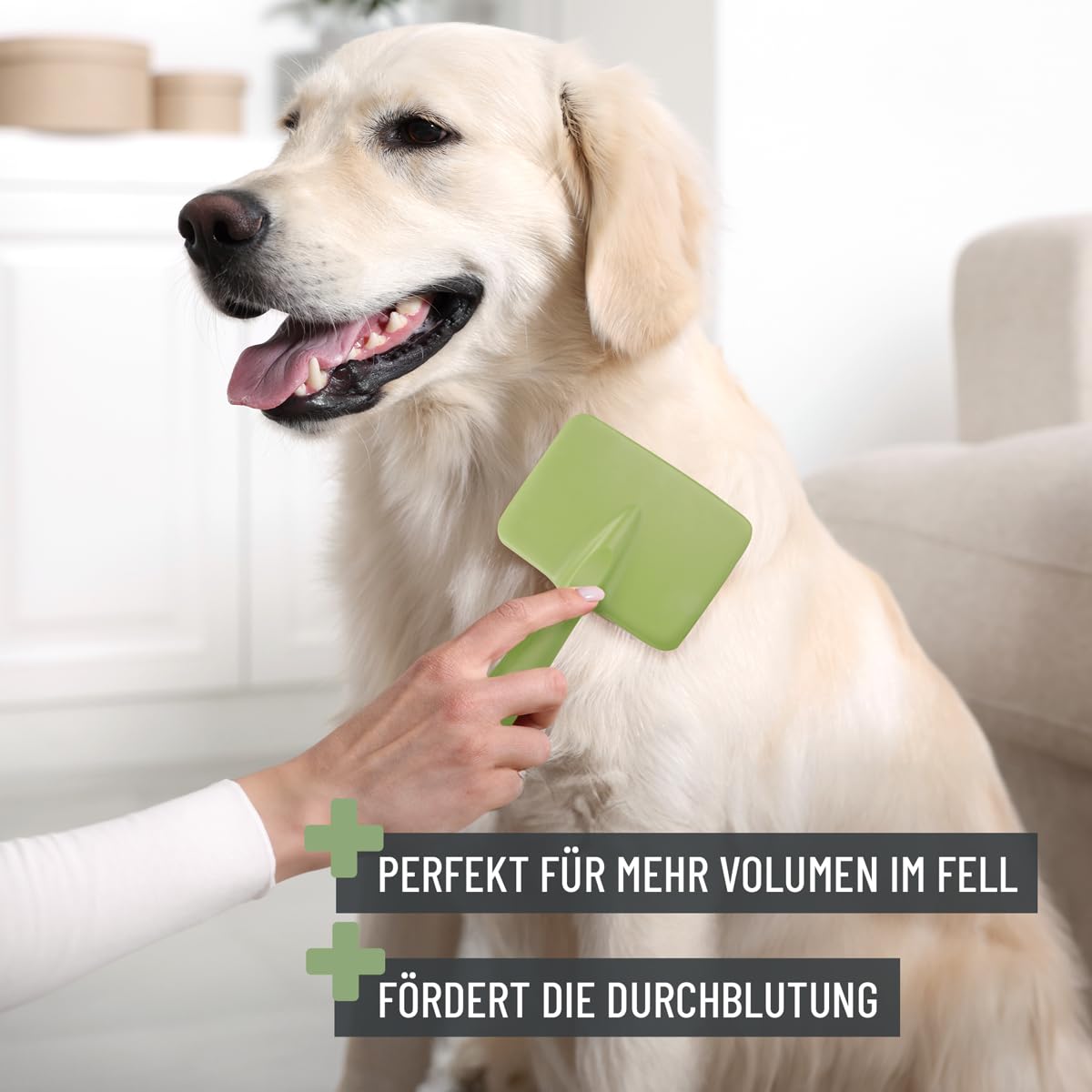 ReaVET Spazzola per cani, spazzola per gatti, spazzola per cani e gatti, taglia grande, rimuove delicatamente sottopelo, infeltrimenti e nodi, spazzole per animali domestici