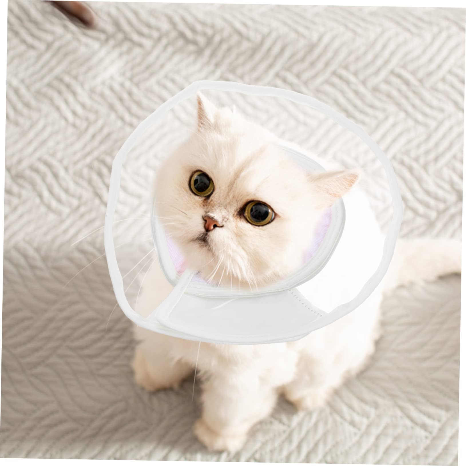 FOMIYES 3stücke Cat Cone Halskragen Für Katzen Weicher Verstellbarer Erholungs-zweckkragen Schutz Vor Lecken Und Kratzen Genesung Einfach Anzulegen Und Für