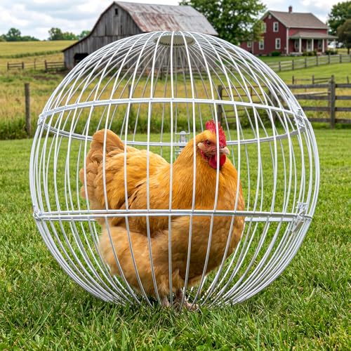 Tsingfloral Chicken Ball Cage 17.8 Inch Metal Rolling Cage with Access Door for Easy in & Out Backyard Exercise Enclosure for Supervised Yard Use Temporary Chicken Pen for Chickens & Rabbits