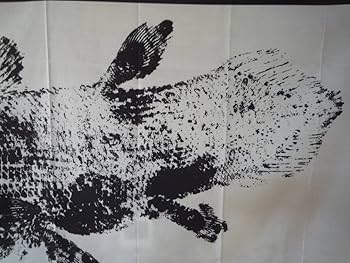 シーラカンス Safari ltd シーラカンスの置物 青 | Kidinn フィギュア