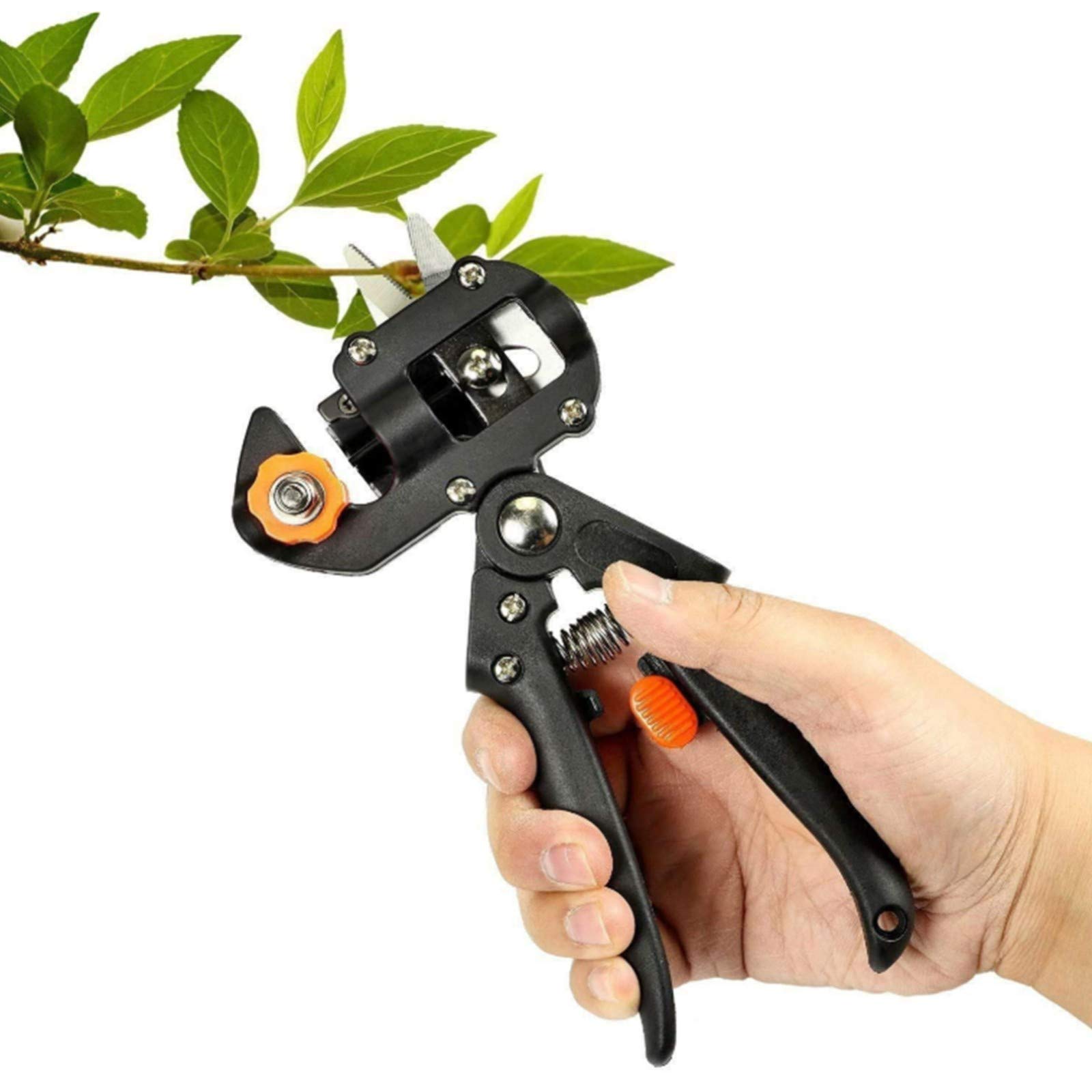 Attrezzi per innesti da giardino - Cesoie per innesti, cesoie per innesti Lame di ricambio Ramo di piante Ramoscello Vite Kit di utensili da taglio per alberi da frutto Giardino o prato