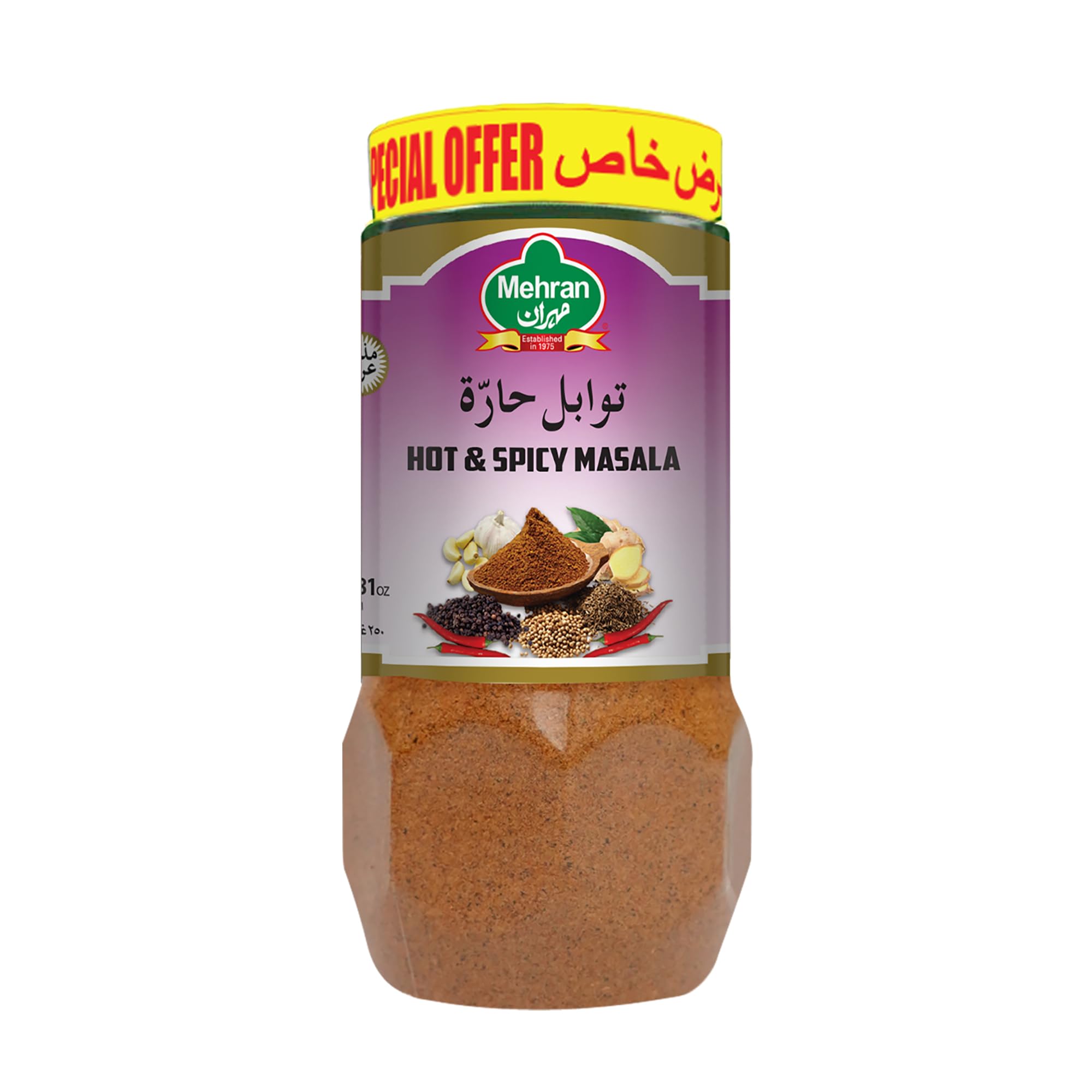 MEHRAN HOT&SPICY JARS 250GM@10% PRICE OFF