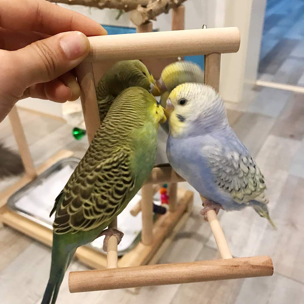 HANZE - Specchio a Forma di Uccello con Altalena a Forma di Colibrì, posatoi per pappagalli, Altalena, Giocattolo in Legno, per Ara, cacatua, parrocchetto, fringuello, 3.9 x 3.9 x 3.9 Inches, 2 Pack