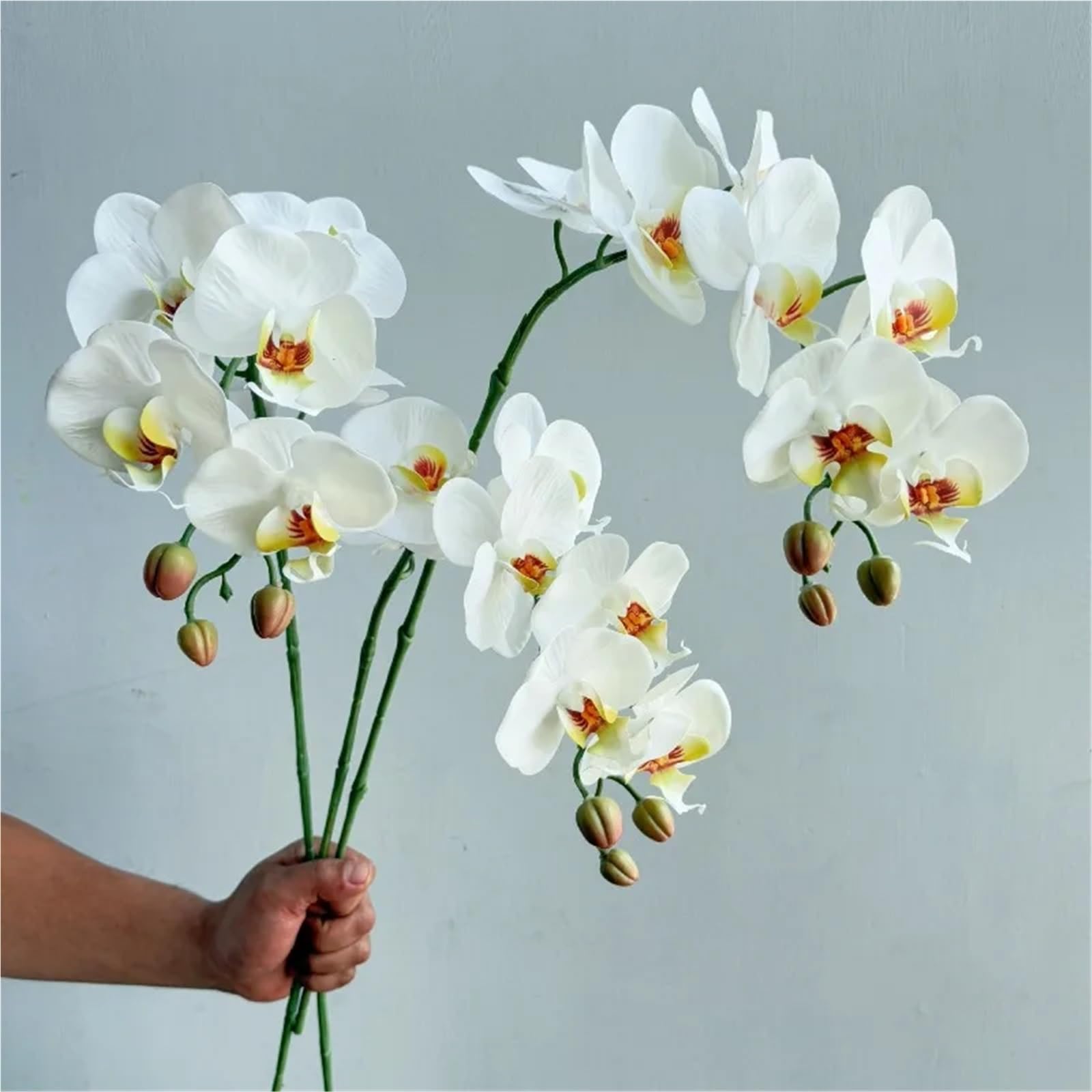 Orchidée papillon artificielle Fleurs d'orchidées papillon en latex