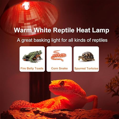 Vista 3 de Vinaco G9 Heat Lamp Bulbs for Reptile, Dimmable Night Red UVA UVB Reptile Heat Lamp G9, 2 Pin Base Mini G 9 Halogen Bulbs 50W 120V, Infrared Heat