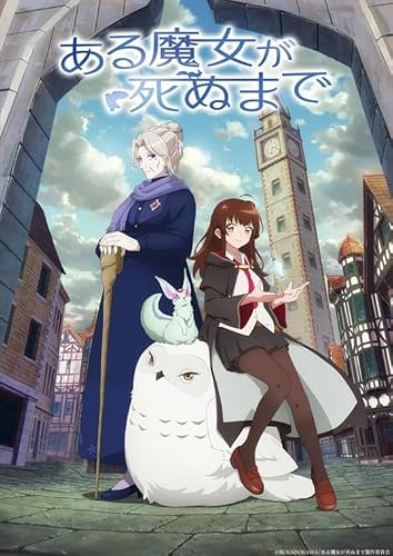 �w���閂�������ʂ܂Łx�S12�b �A�j��TV ���S��BOX �z�[��DVD�v���[���[�œK