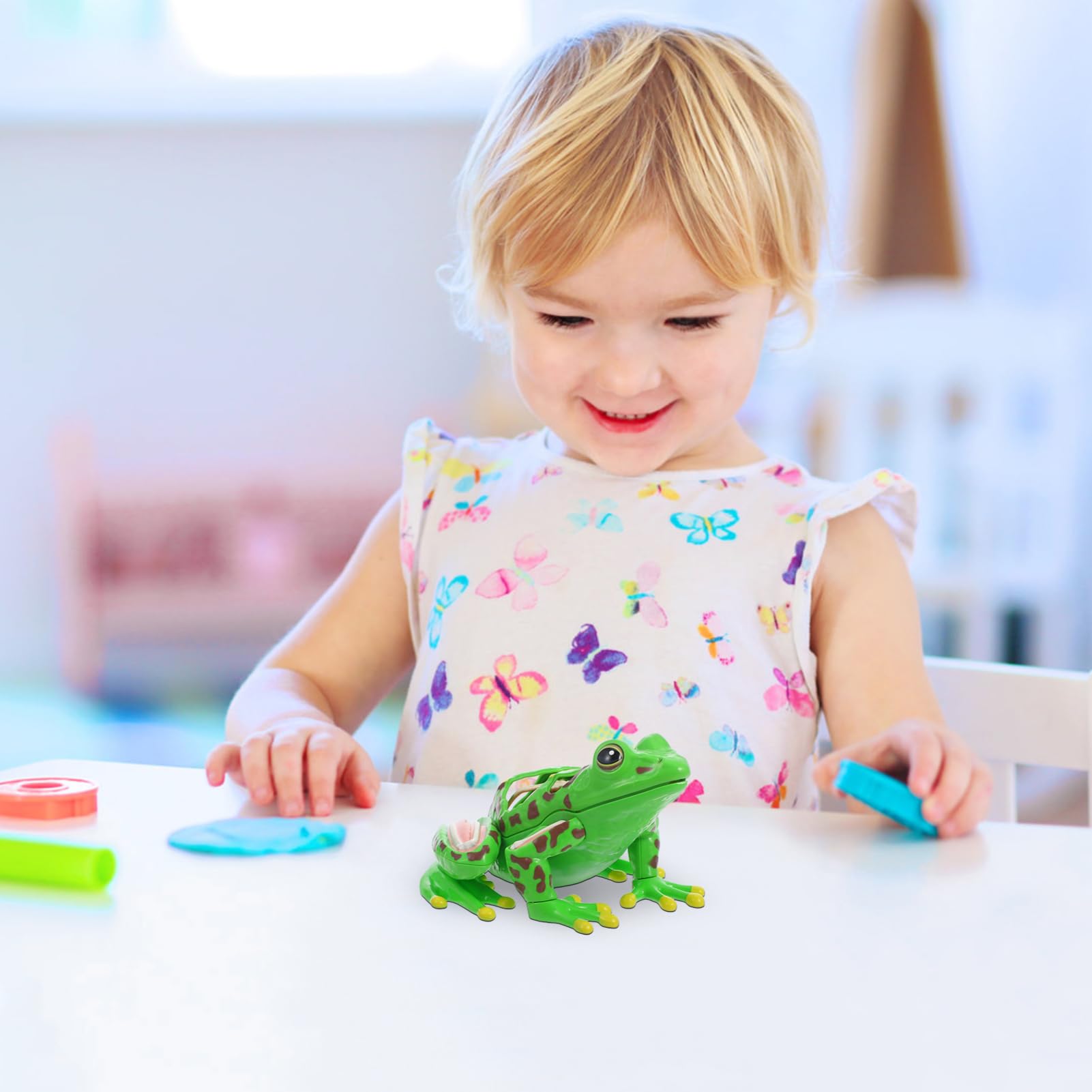 Grenouille Modèle Outils Pour Pour L'Aide À L'Étude D'Anatomie Grenouille Souvenirs Grenouille Anatomie Réplique Réaliste Grenouille Réaliste Grenouille 3D Puzzle Grenouille