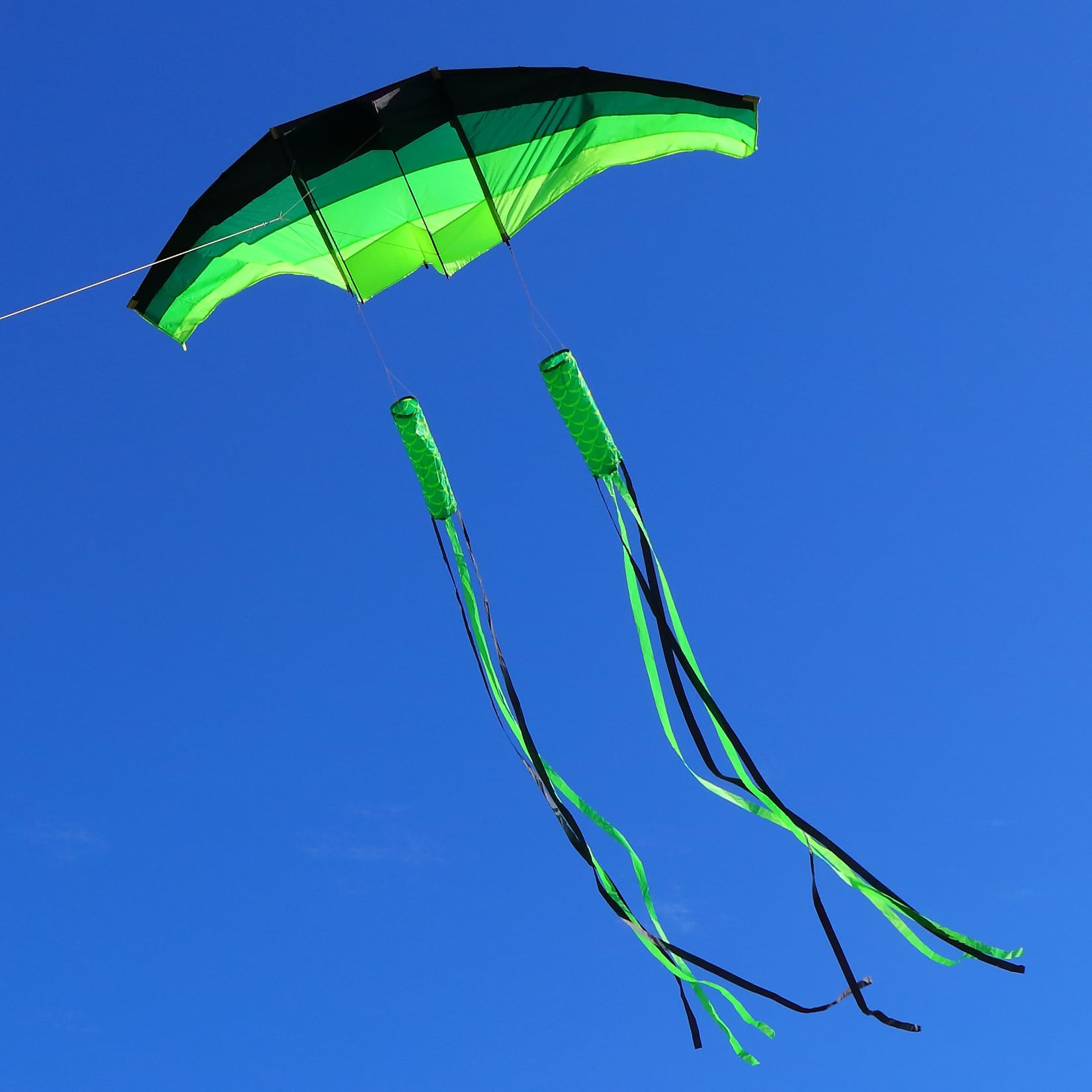 TianYueFly Huge 3D Adult Gliders - 120" Giant Single Line Kite with Two 17ft 3D Kite Tails for Beach - Image 6