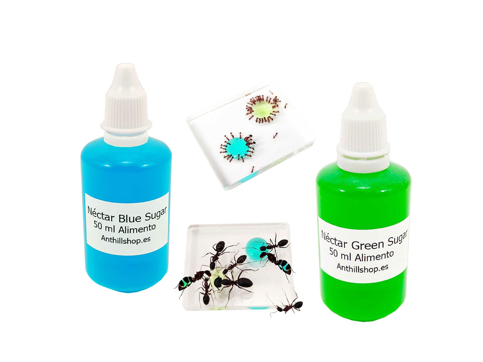 Aliments pour fourmis - Excellent et irrésistible - Aliment pour vos fourmis et fourmis - Nouveau Nectar de sucre bleu Plus Nectar de sucre vert - Lot de 2 bouteilles de 50 ml