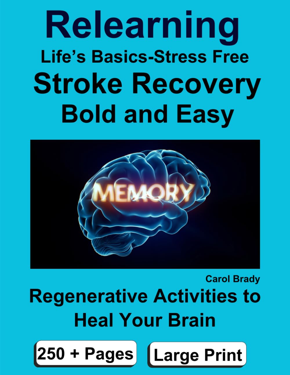 Relearning Life's Basics-Stress Free: Stroke Recovery/Bold and Easy: Regenerative Activities to heal your Brain, 250+ pages, Large Print