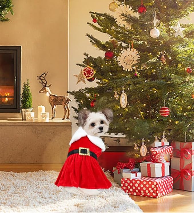 Disfraz de Navidad para Perro Pequeño y Mediano, Vestido Rojo de Santa miniatura 5