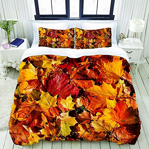 Couette 3D Imprimée avec Luxe Housse Cover