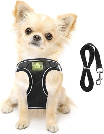 Feimax Harnais Petit Chien Chat Harnais Veste En Mesh Doux Reflechissant Reglable Ensemble Gilet De Chiot Et Laisse Pour Chiens De Taille Petits Et Moyens Amazon Fr Animalerie