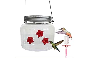 Sherem Hummingbird Feeder: Delightful Nectar Dining for Backyard Birds