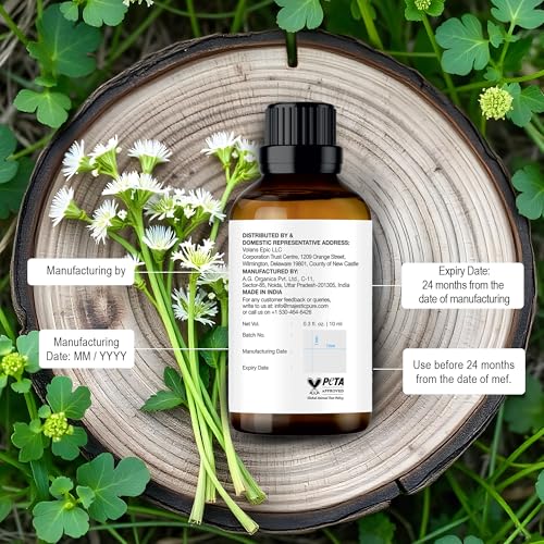 Image of Majestic Pure Angelica Root Essential Oil for Diffuser - 0.3 Fl Oz