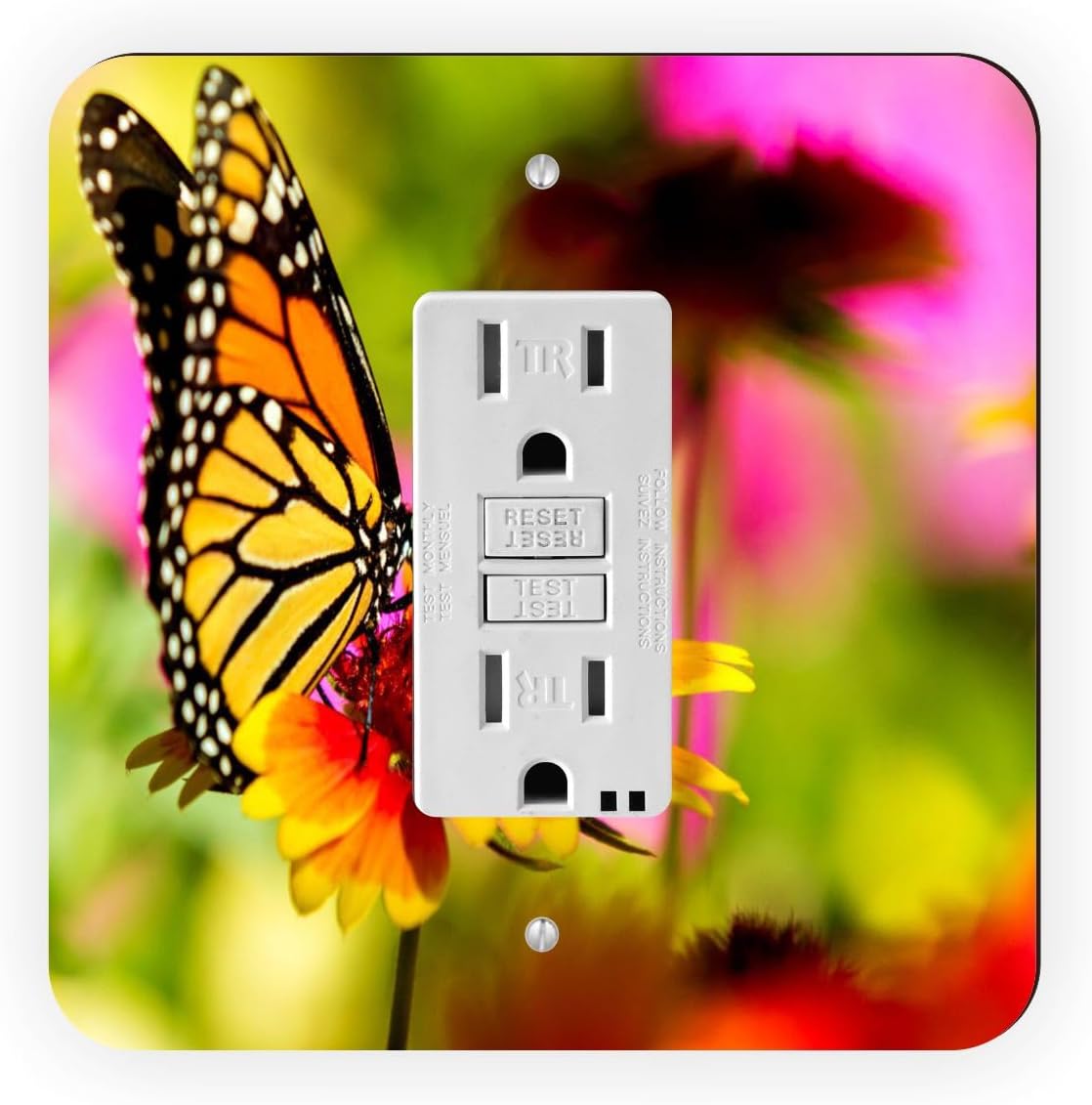 Beautiful Tropical Color Butterfly - Monarch Butterfly -Light Switch Plate Cover - Double GFI Double Rocker - Two Gang Switch Plate Cover Switch Plate Cover