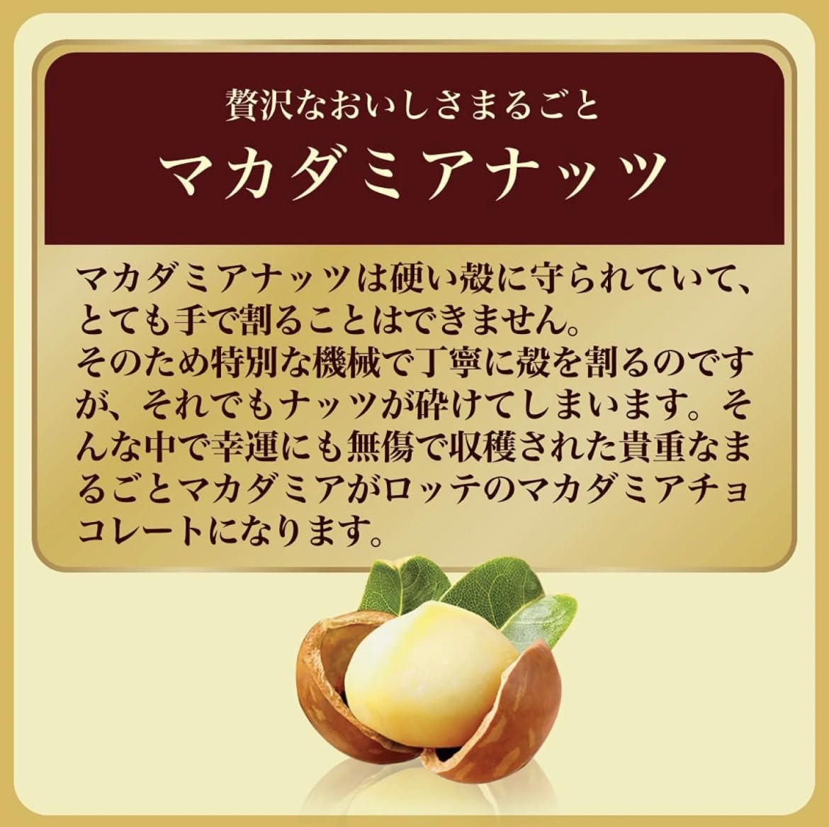 Amazon | ロッテ チョコレート マカダミアチョコレート 9粒 5個セット
