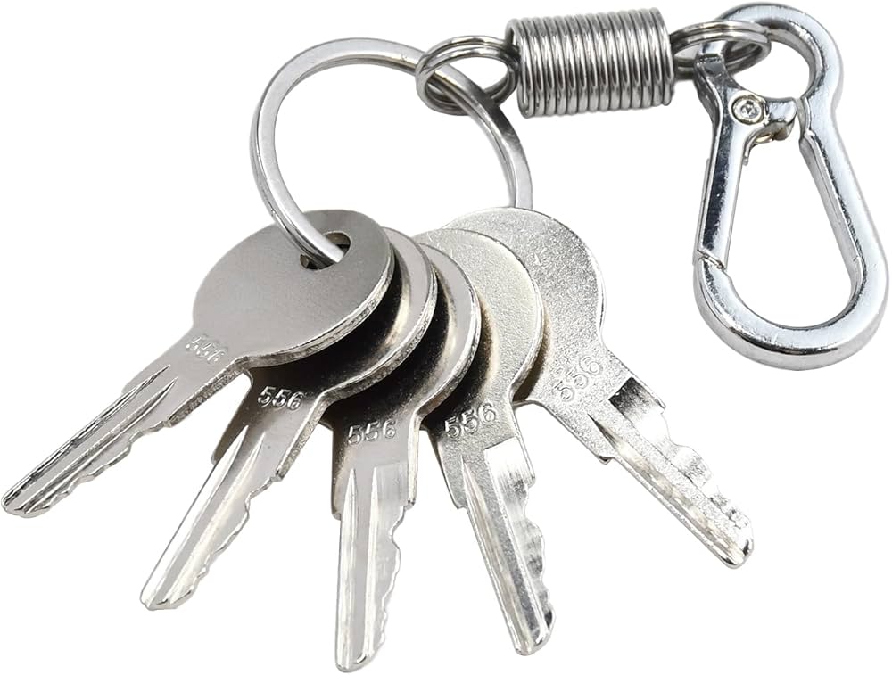 Amazon.com: Neeseelily 5PCS Ignition Keys 556 642628