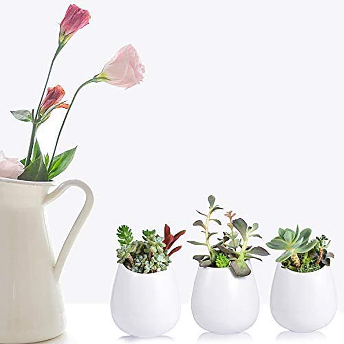 Pots de Fleurs Suspendus, 3 Paquets de jardinières murales en céramique Blanche, décoration intérieure et extérieure, Mini Porte-Plantes, Supports de Fleurs, Plantes murales