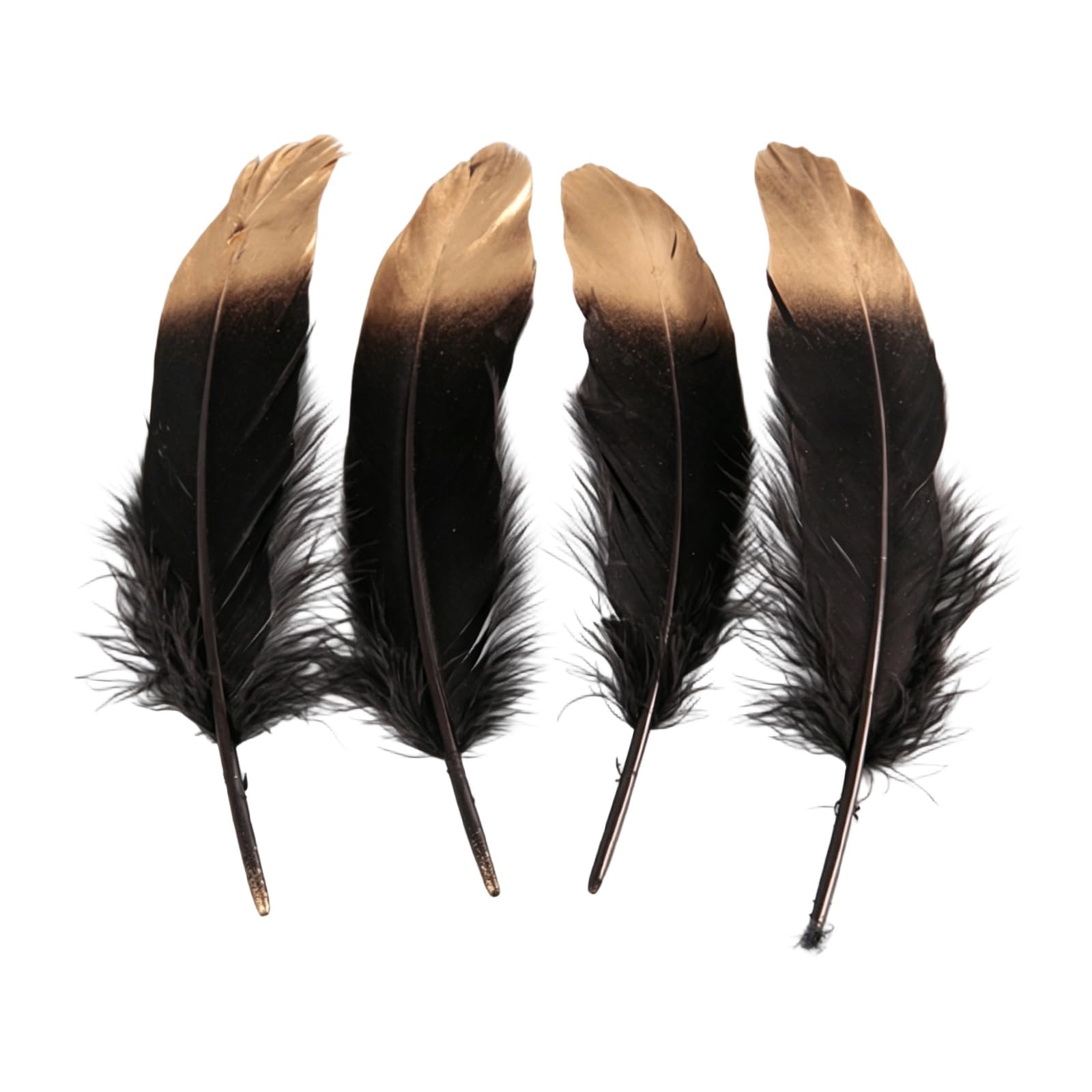 our fave 50Pcs Bright Plumage for Crafting Photography Backdrops and Themed Party Supplies Sewing Embellishment Quills