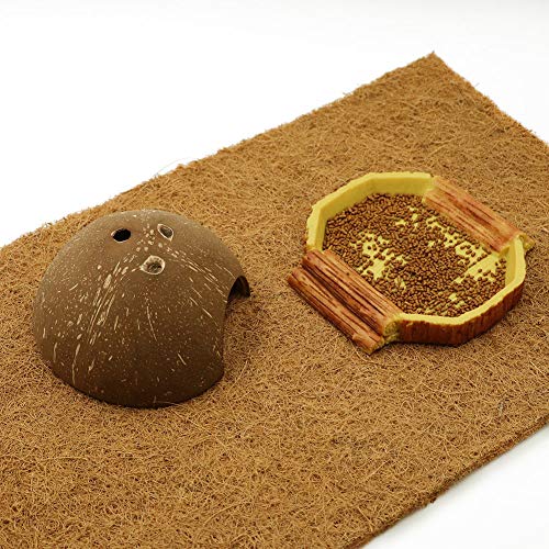 M.Z.A Rettile Piatto per alimenti Resina Piastra