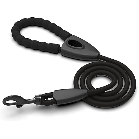 kmart retractable lead