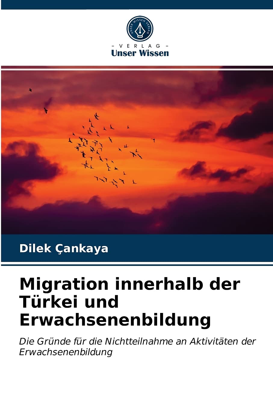 Migration innerhalb der Türkei und Erwachsenenbildung