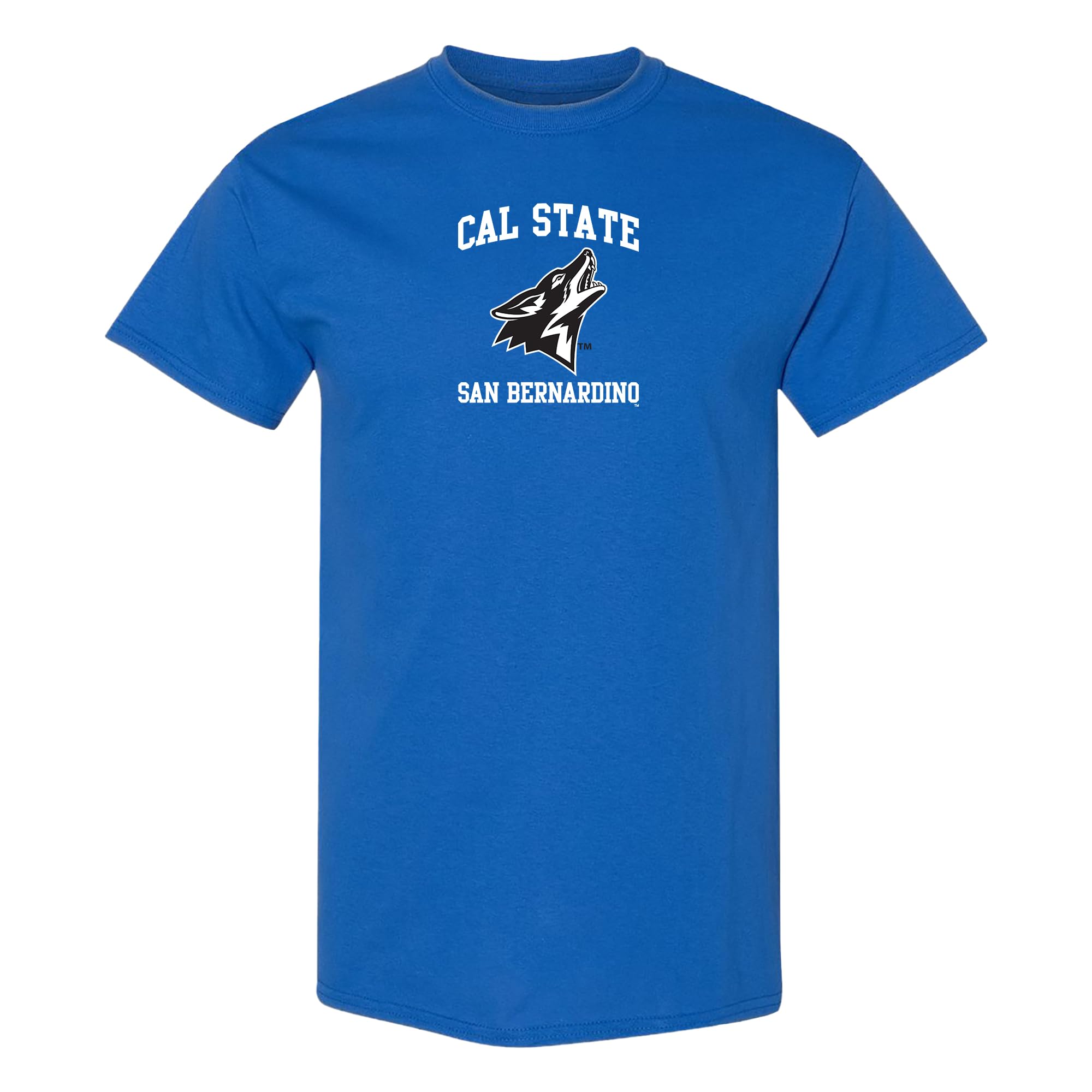 NCAA Arch Logo - NCAA Sports Team Color T Shirt — view 52