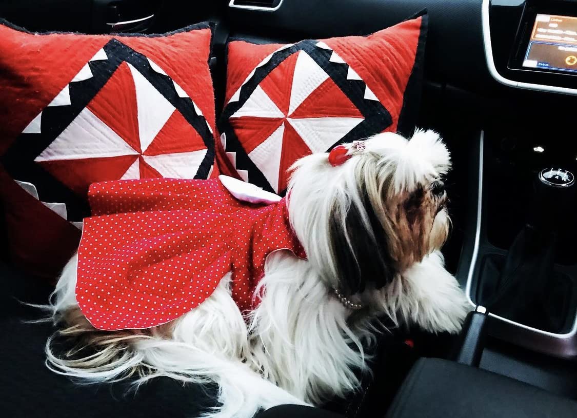 That Dog In Tuxedo Dog Dress Retro Polka Dress Clothes for Dogs/Cats (19), Red, 1 Count 4