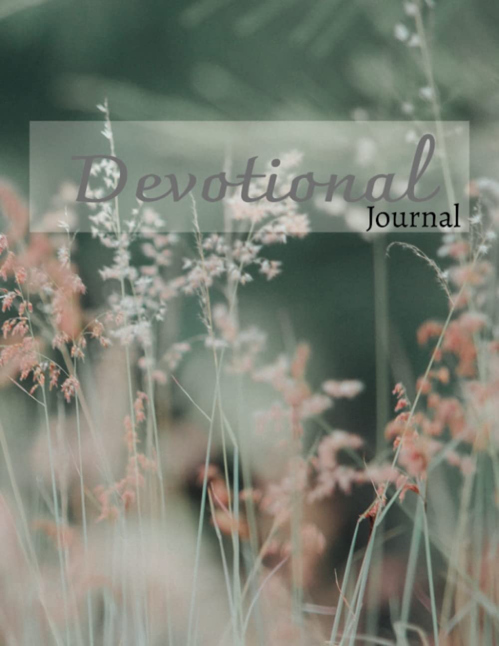 Devotional Journal: Daily devotional journal for ladies.