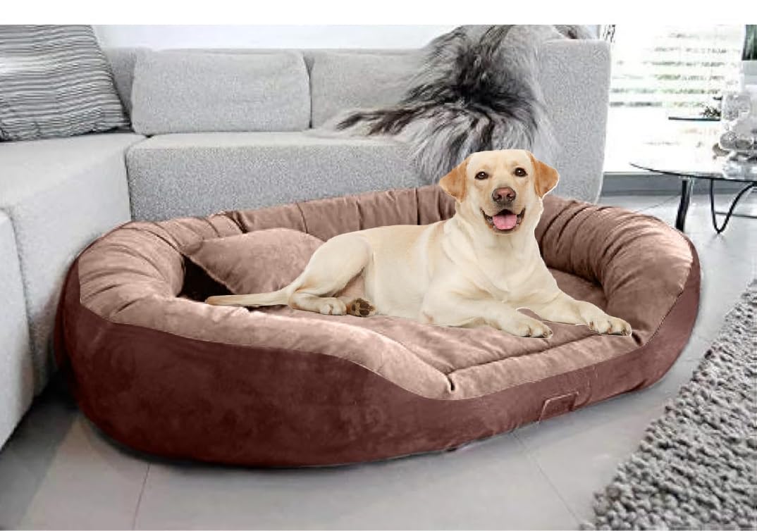 See full amazon price history chart for DRILLY Premium Fur Washable Dog/cat Bed with Blanket for Small |Medium |Large | Extra Large | XXL |XXXL | 4XL Size Dogs | Cats | Puppy | pet | Rabbit | Persian cat | Indoor cat (L) DRILLY Premium Fur Washable Dog/cat Bed with Blanket for Small |Medium |Large | Extra Large | XXL |XXXL | 4XL Size Dogs | Cats | Puppy | pet | Rabbit | Persian cat | Indoor cat (L) (B0D9NM7SN5) Amazon Price History, Amazon Price Tracker