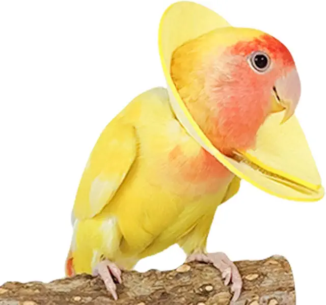 Collare anti-morso per pappagalli: morbido, traspirante, previene spiumatura e autolesioni