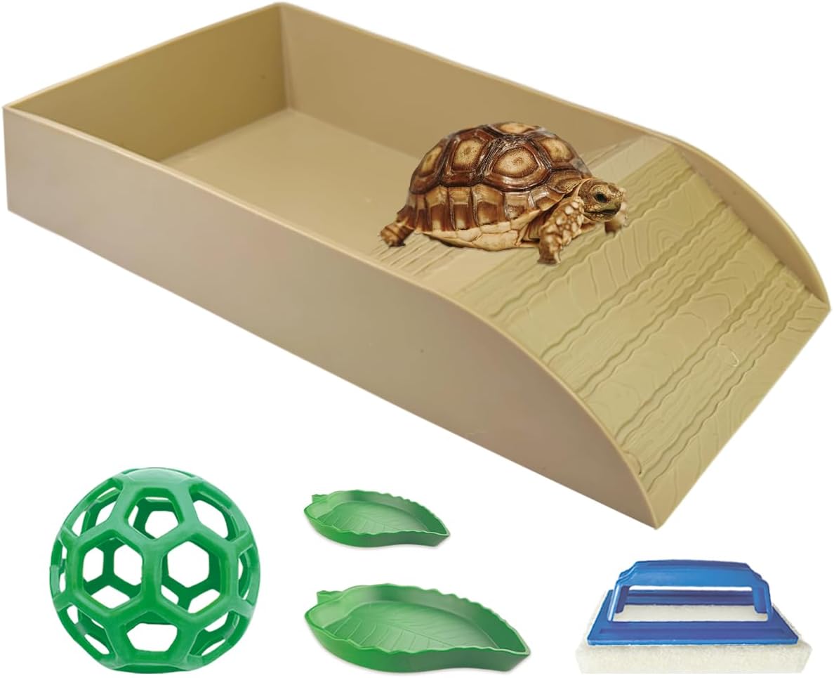 3 PCS Tortoise Food Dish with Ramp and Tortoise Water Bowl