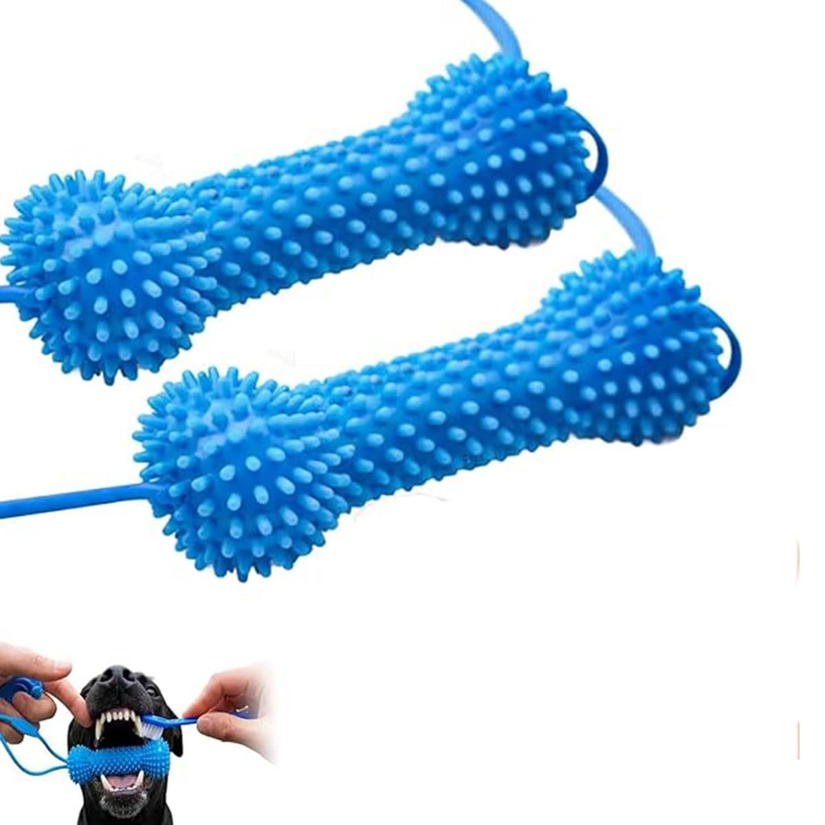 Nettoyage des dents pour chien avec ce jouet dentaire double action anti-plaque