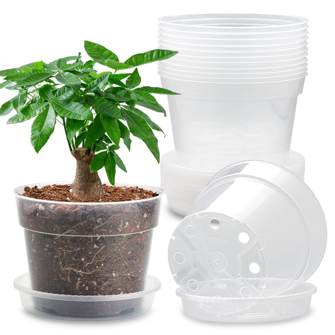 12 Pack 7 Inch Clear Nursery Pots with Saucer, Transparent Plastic Plant Pots with Drainage Holes, Sturdy Plant Starter Pots, Planter Pot for Planting