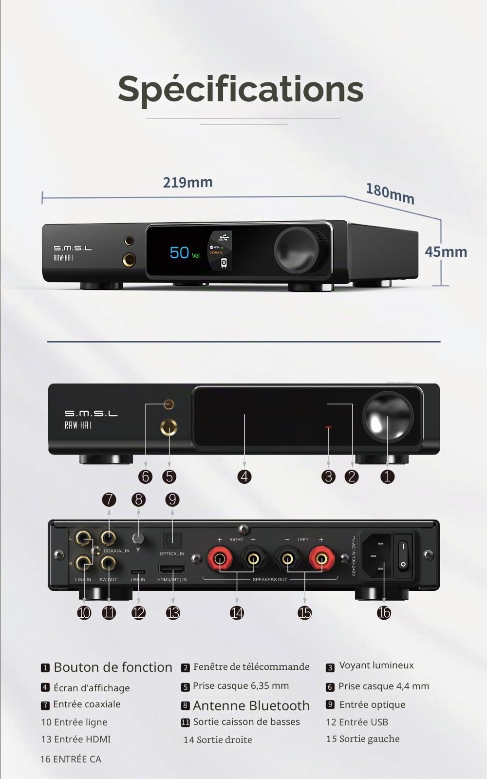 Amplificateur RAW-HA1 équipé d'un écran LCD Full Function Remote Control Fully-Fitted