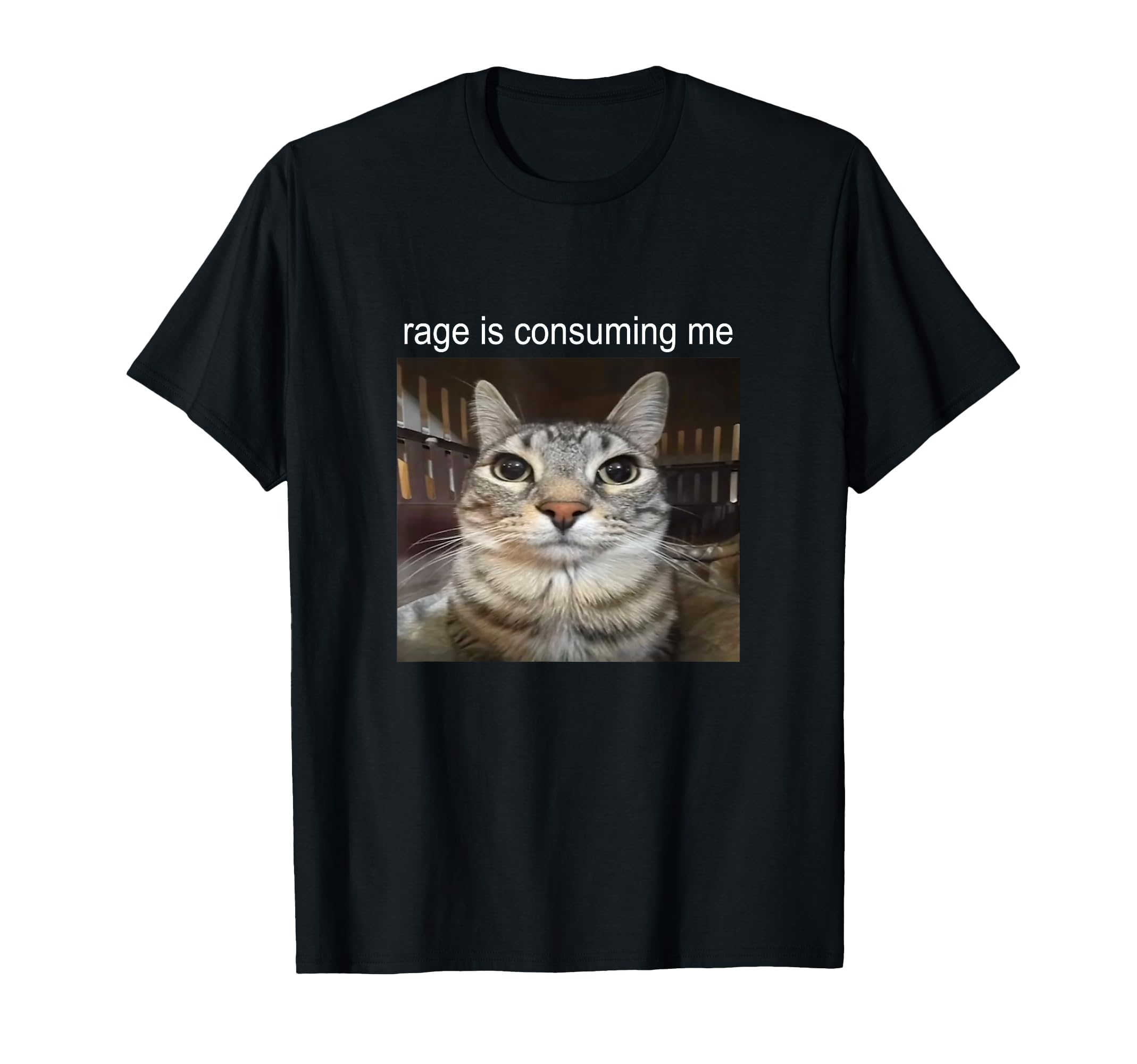 Rage is Consuming Me Silly Staring Cat Meme T-Shirt