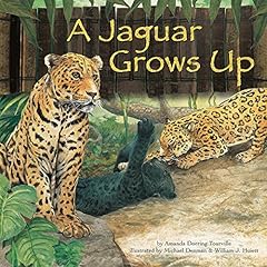 『A Jaguar Grows Up』のカバーアート