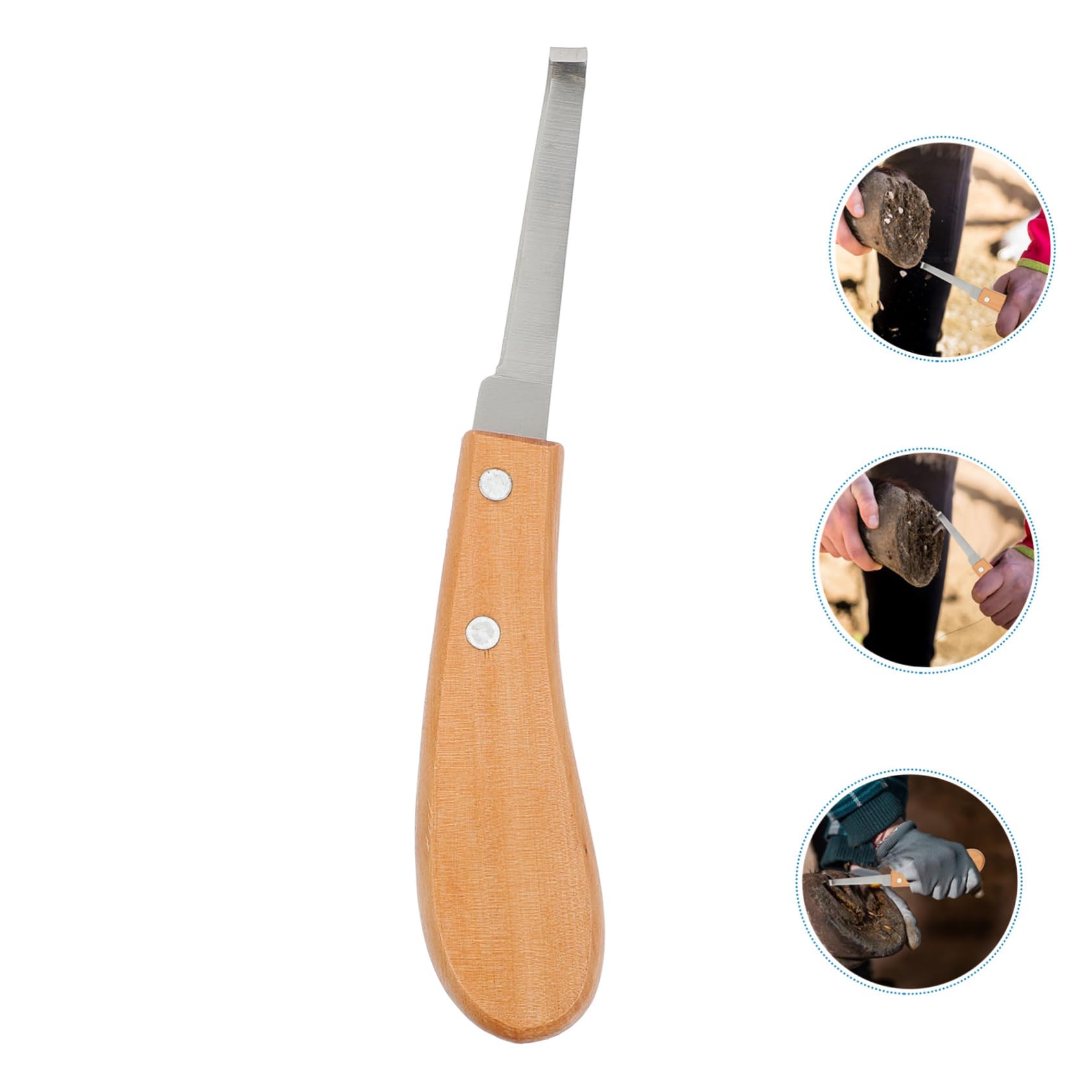 3stücke Edelstahl Hufschneider Für Pferde Reparaturwerkzeug Für Hufe Ergonomischer Griff Leicht Und Tragbar Für Pflege Von Pferden Und Rindern