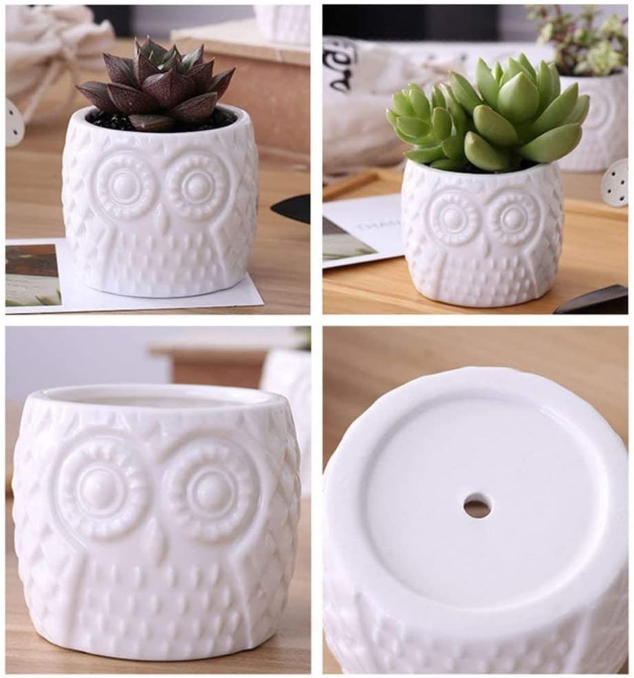 Stojak Rośliny Stojak Na Sukulenty Zestaw Doniczek Ceramicznych Wzór Sowy Bambusowe Drzewo Kreatywny Rośliny Z Odpływem Pojemniki Wewnątrz